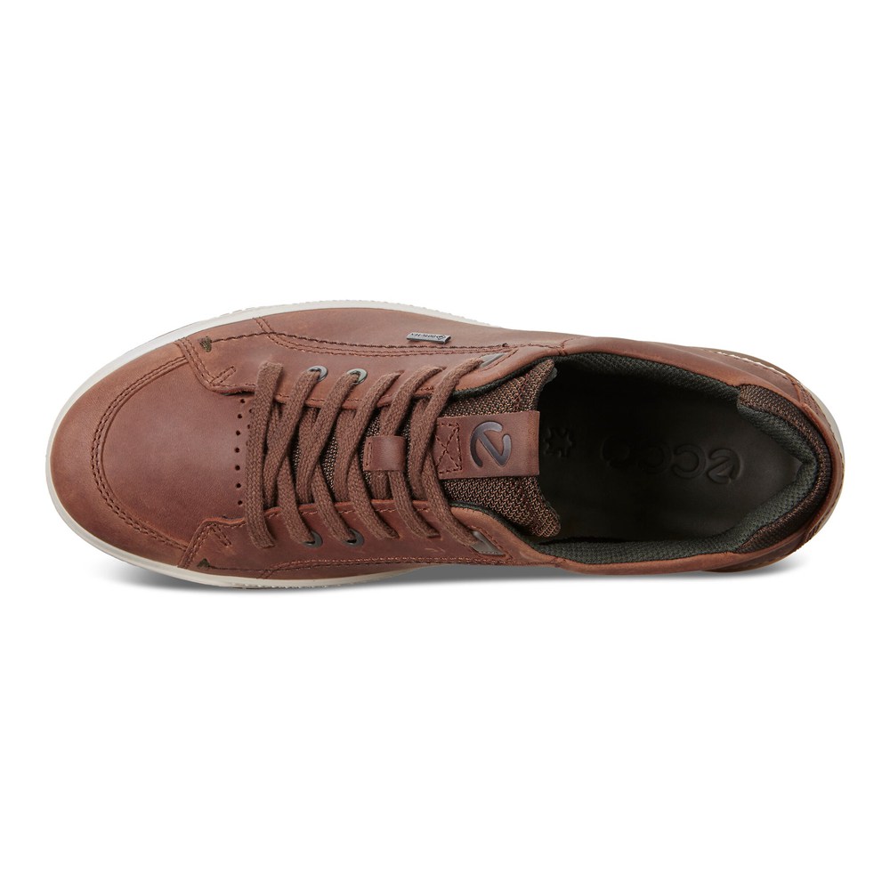 Tenis Hombre - ECCO Byway Treds - Marrom - VCB648230